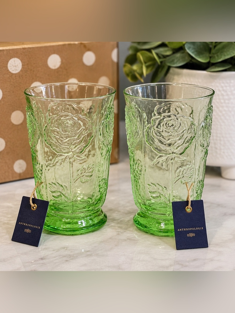 Anthropologie Set of 2 Green Embossed Rose Glass Tumblers NWT Floral Glasses